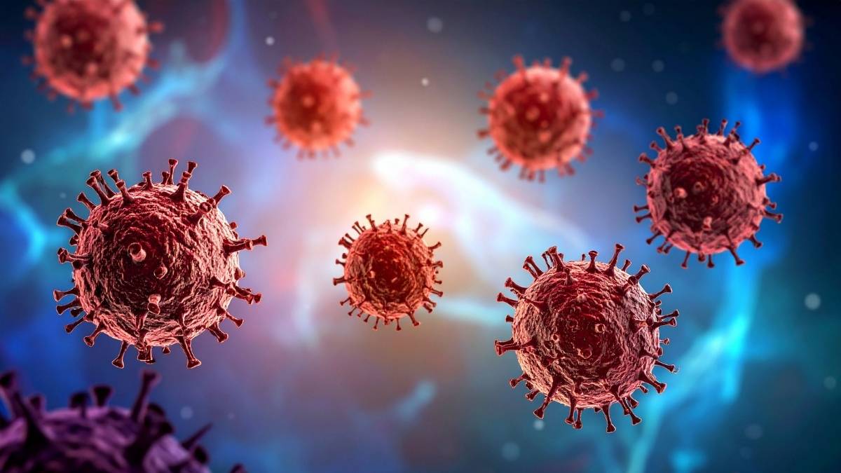 Que es el hantavirus y como se transmite