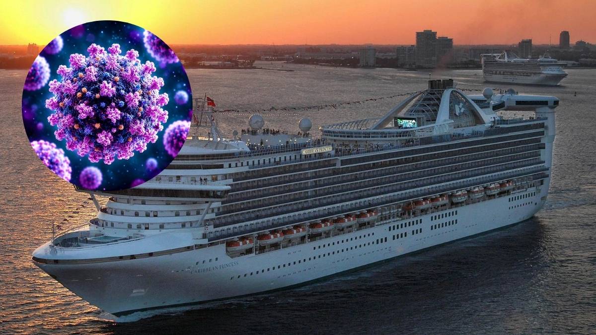 Que es el norovirus