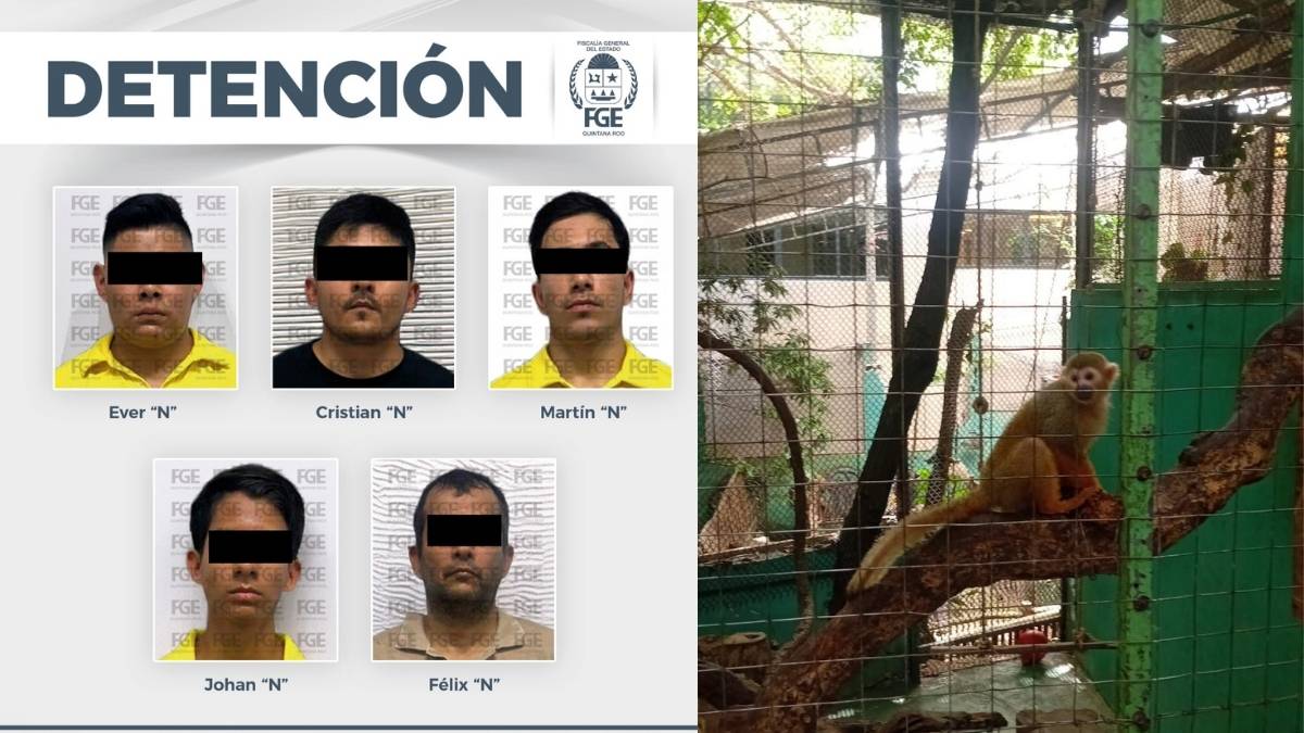 Rescatan especies en peligro de extincion