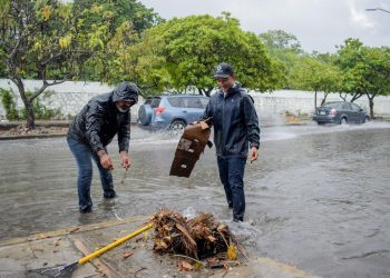 Dirección General de Servicios Públicos desplegó 25 brigadas integradas en Cancún