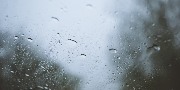 Clima en Cancún hoy: Esperan chubascos y altas temperaturas en Quintana Roo