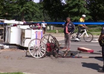 Adolescente muere en Central Park al intentar salvar a su madre durante accidente con carruaje de caballos