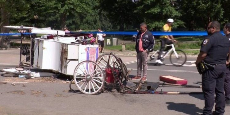 Adolescente muere en Central Park al intentar salvar a su madre durante accidente con carruaje de caballos