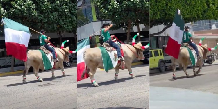Aficionado de la Selección Mexicana pasea en Toro por calles de Guadalajara