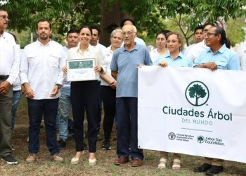 Cancun recibe distintivo internacional por su arbolado urbano