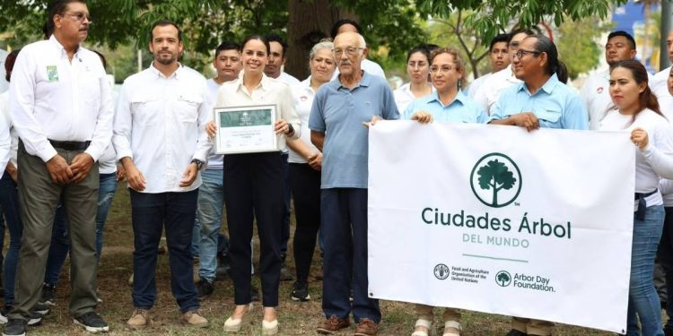 Cancun recibe distintivo internacional por su arbolado urbano