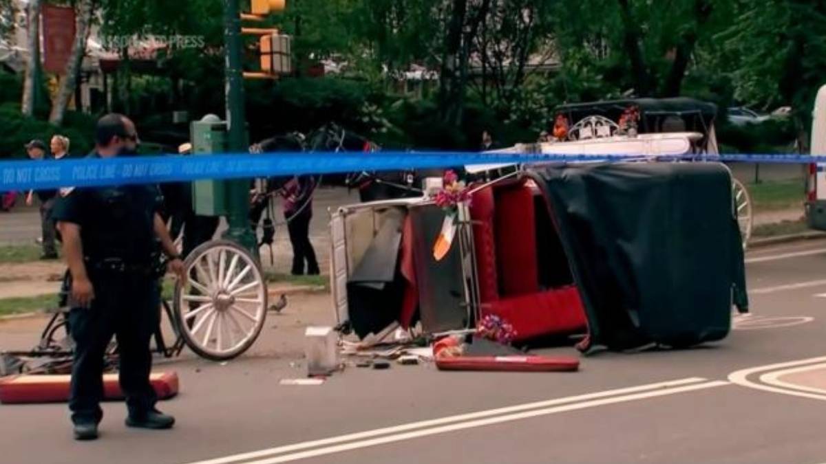 El accidente ocurrio durante un paseo turistico en Central Park