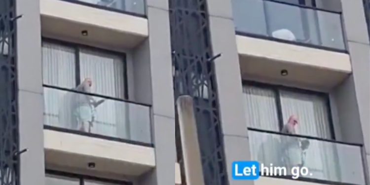 Hombre es captado abusando de un niño en un balcón en Colombia