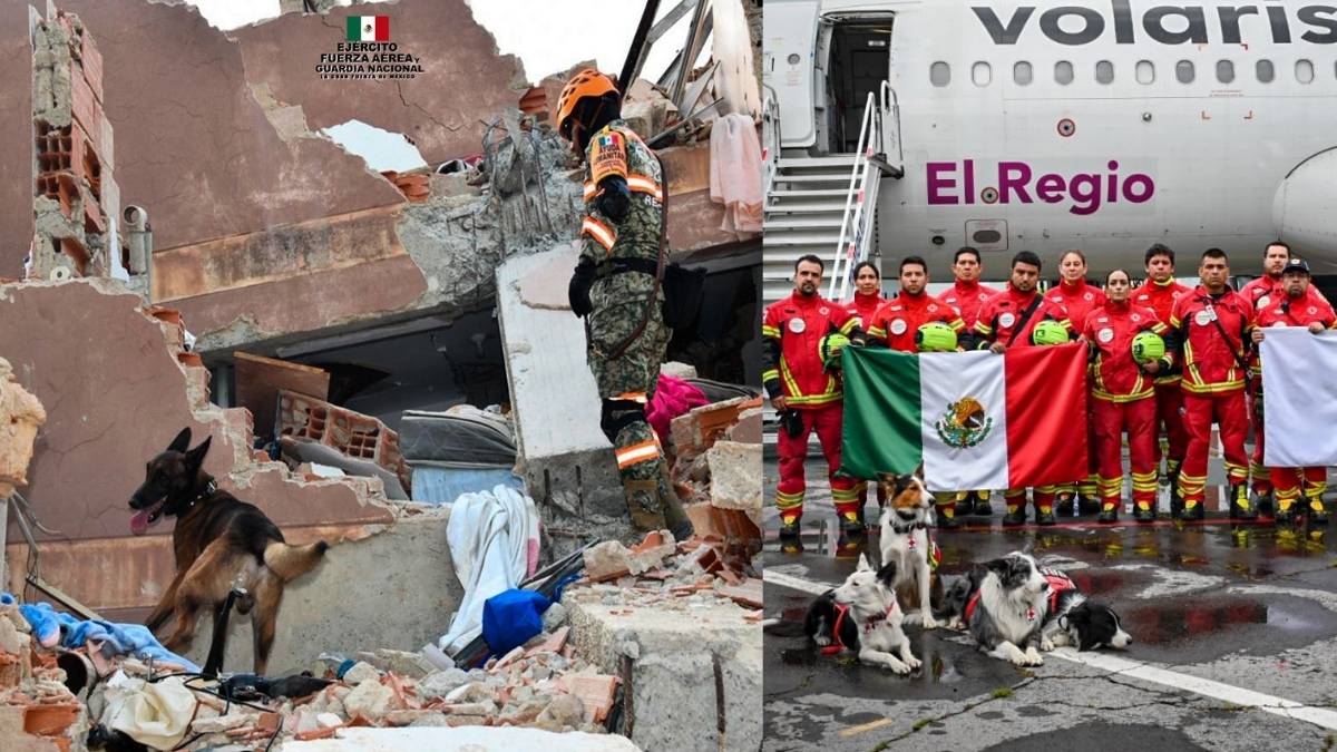 Perros rescatistas mexicanos localizan personas con vida en Venezuela