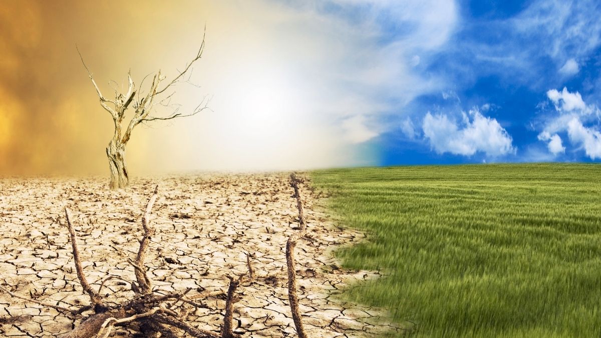 Que es El Niño y por que preocupa a los cientificos