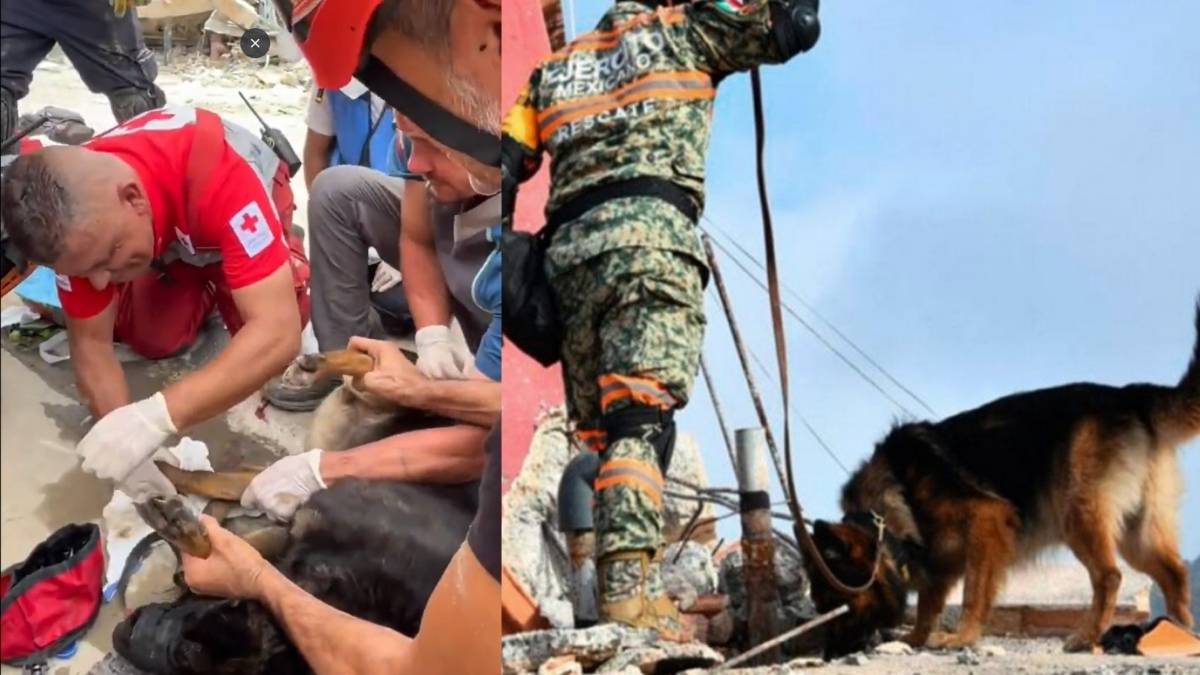 Que le paso a Max durante el operativo de rescate