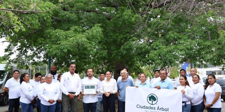 Ayuntamiento de Benito Juárez recibe el distintivo nacional “Tree Cities of the World”