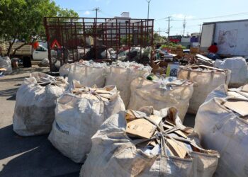 Más de 484 mil kilos recolectados en el Reciclatón Cancún 2026