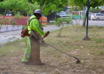 Ayuntamiento de BJ responde a solicitudes vecinales con limpieza de espacios públicos en Cancún