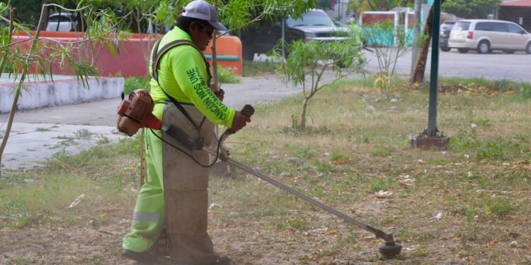 Ayuntamiento de BJ responde a solicitudes vecinales con limpieza de espacios públicos en Cancún