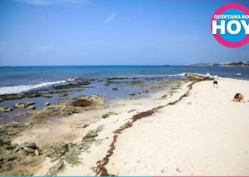 Playa del Carmen refuerza lucha contra el sargazo con apoyo de Marina