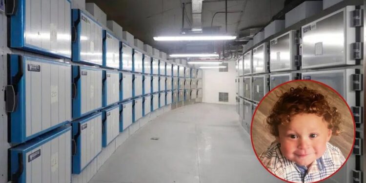 Bebé despierta en la morgue tras cinco horas de haber sido declarado muerto