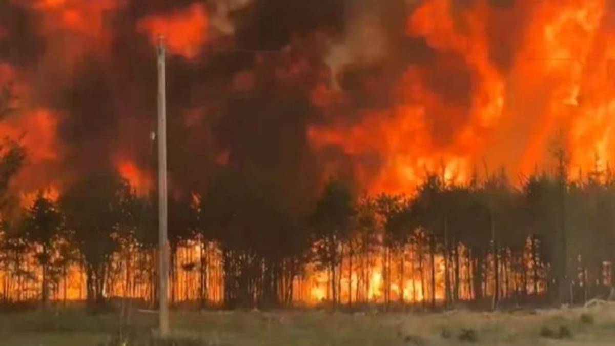 Canada enfrenta una temporada critica de incendios forestales