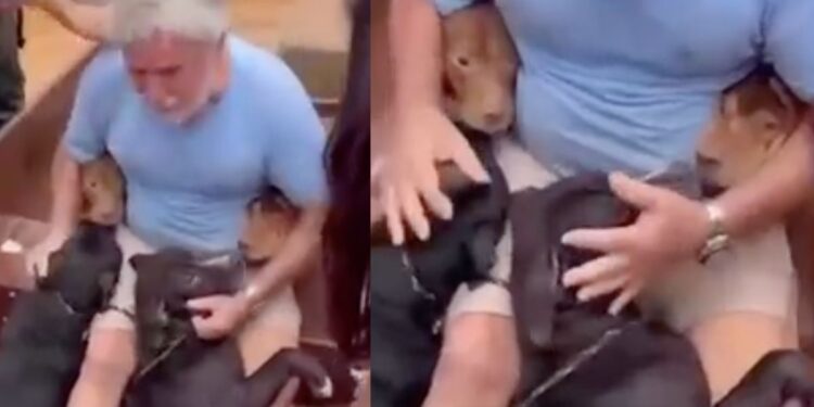 Hombre arriesga su vida para salvar a sus perritos tras una inundación