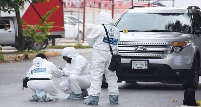 Quintana Roo destaca entre estados con mayor reducción de homicidios dolosos