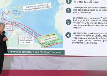 Mexico anuncia mas de 2 mil MDP para la estrategia contra el sargazo 2026 rompe todos los records