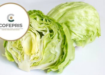 Mexico investiga posible vinculo de lechuga con brote de diarrea explosiva en EU
