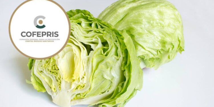 Mexico investiga posible vinculo de lechuga con brote de diarrea explosiva en EU
