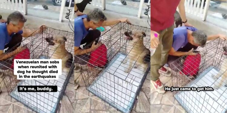 Perro se reencuentra con su dueño tras terremoto en Venezuela