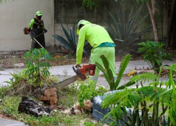 Responde Ayuntamiento de BJ a solicitudes vecinales con limpieza de espacios publicosResponde Ayuntamiento de BJ a solicitudes vecinales con limpieza de espacios publicos