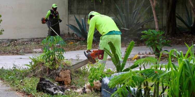 Responde Ayuntamiento de BJ a solicitudes vecinales con limpieza de espacios publicosResponde Ayuntamiento de BJ a solicitudes vecinales con limpieza de espacios publicos