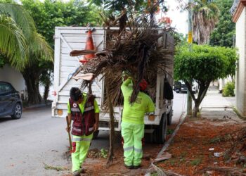 Dirección General de Servicios Públicos realizó trabajos en la Supermanzana 45