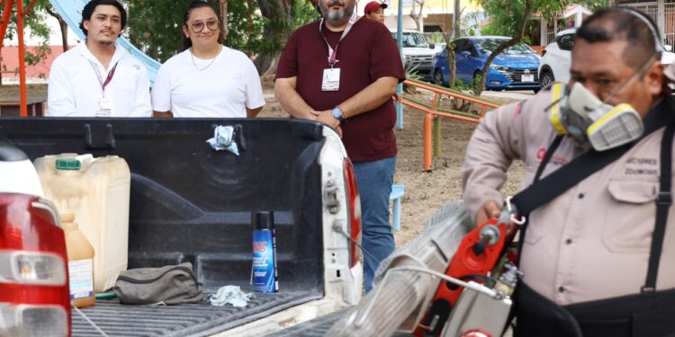 Realizan jornada de descacharrización y termonebulización en la Supermanzana 59 de Cancún