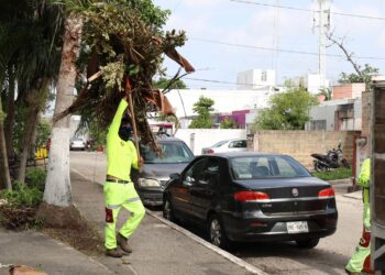 Solución Integral de Residuos Sólidos (SIRESOL) recuperó un predio en la Supermanzana 200 de Cancún