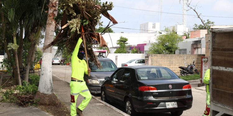 Solución Integral de Residuos Sólidos (SIRESOL) recuperó un predio en la Supermanzana 200 de Cancún