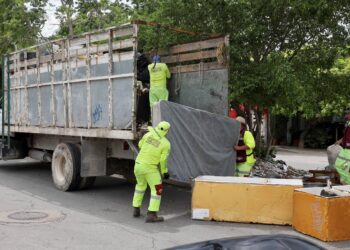 Servicios Público realiza desazolve de pozos pluviales y poda de árboles en distintos puntos de Cancún