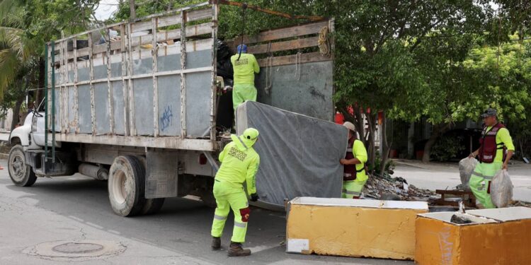 Servicios Público realiza desazolve de pozos pluviales y poda de árboles en distintos puntos de Cancún