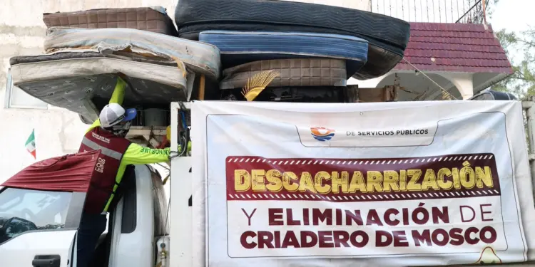 Gobierno de BJ atiende reportes ciudadanos en la SM 74 y 220