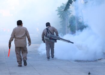 Refuerza Gobierno de BJ trabajos en las SM 100 y 89