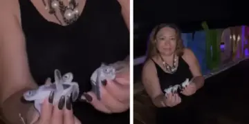 Hasta 350 mil pesos de multa a turistas por manipular tortugas marinas