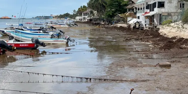 Va recuperación de playa El Recodo en Playa del Carmen