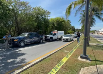 Hallan cuerpo sin vida entre manglar de la zona hotelera de Cancun
