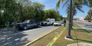 Hallan cuerpo sin vida entre manglar de la zona hotelera de Cancun