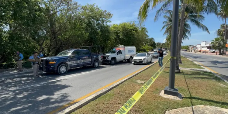 Hallan cuerpo sin vida entre manglar de la zona hotelera de Cancun