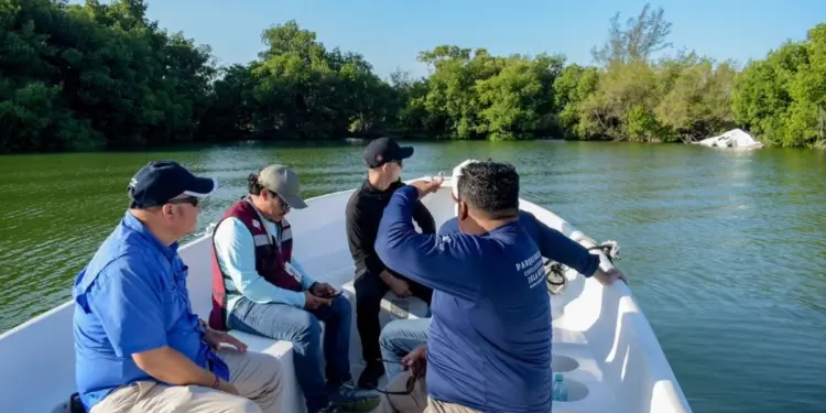 Arranca retiro de embarcaciones abandonadas en la Laguna Nichupte de Cancun
