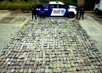 Aseguran mas de 506 kilos de presunta marihuana en una paqueteria de Leon Guanajuato