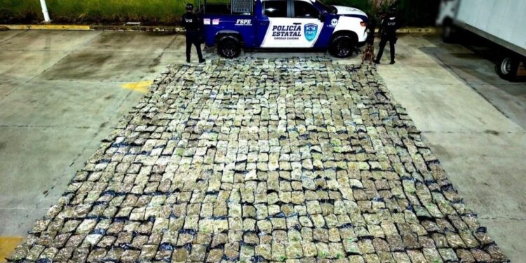 Aseguran mas de 506 kilos de presunta marihuana en una paqueteria de Leon Guanajuato