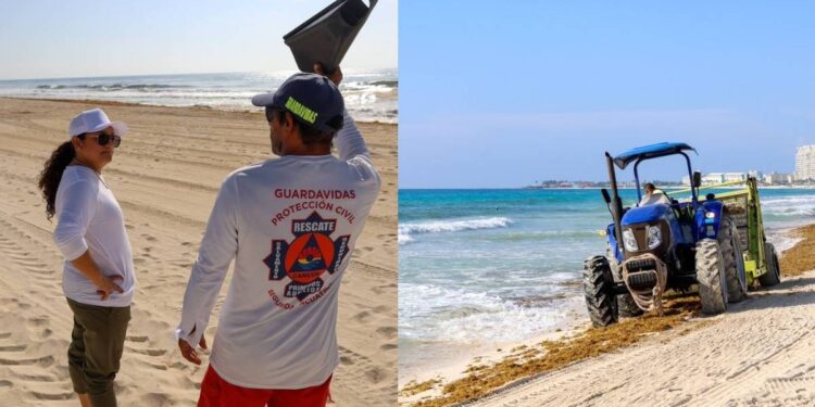 Ayuntamiento de BJ mantiene limpieza permanente para conservar las playas de Cancun