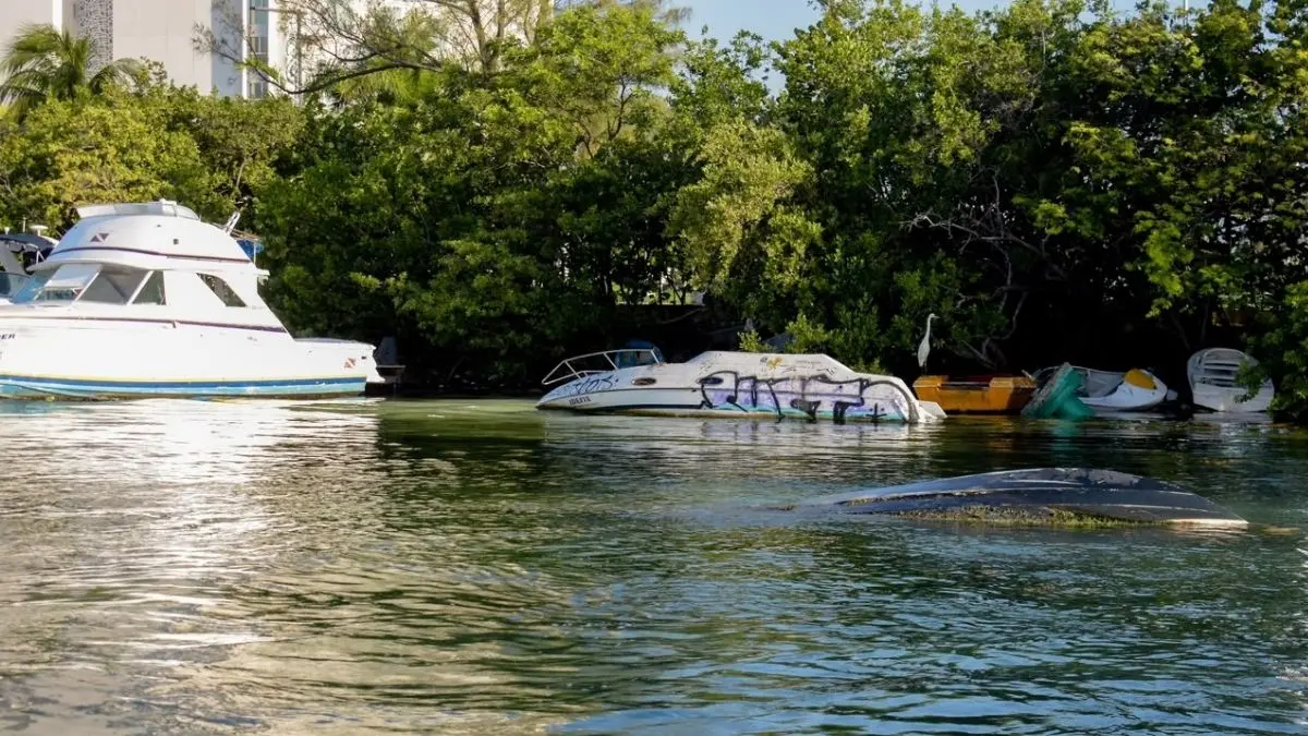 Embarcaciones abandonadas seran retiradas y resguardadas en tierra