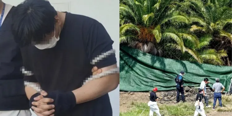 Escandalo en Jeju policia surcoreana habria cerrado casos de desaparecidos que fueron hallados muertosEscandalo en Jeju policia surcoreana habria cerrado casos de desaparecidos que fueron hallados muertos