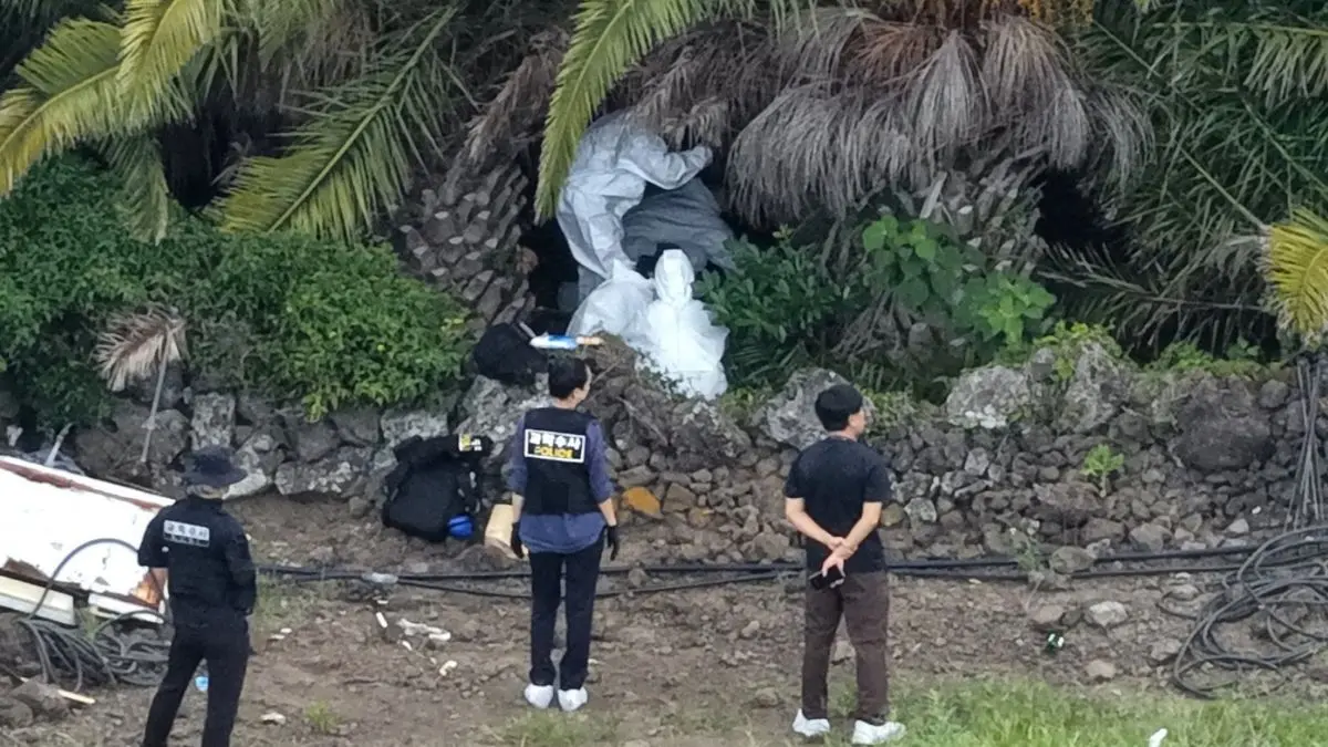 Hallazgo en isla de Jeju Corea del Sur